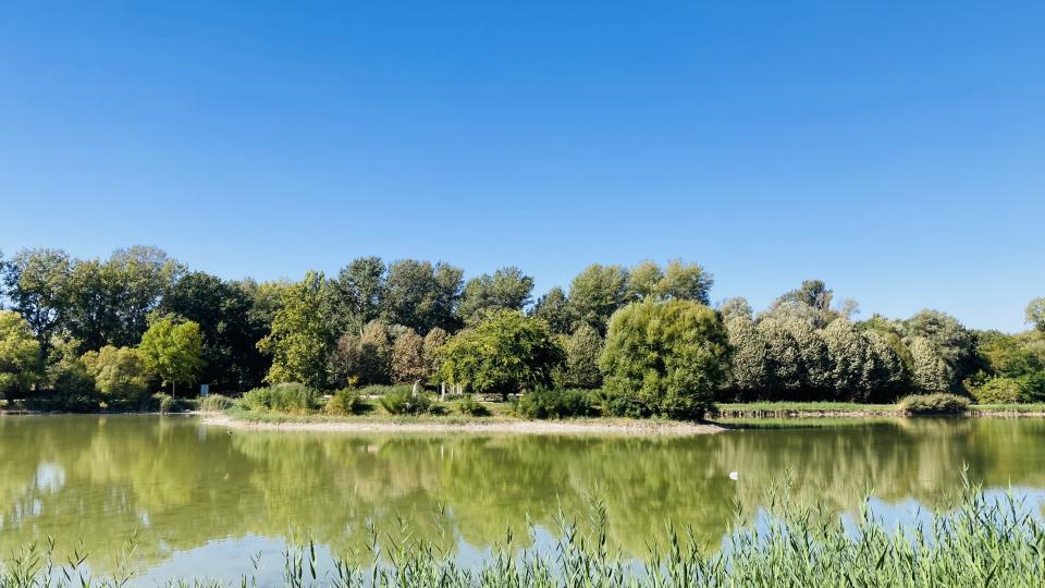 Tatabánya turizmus Csónakázó-tó